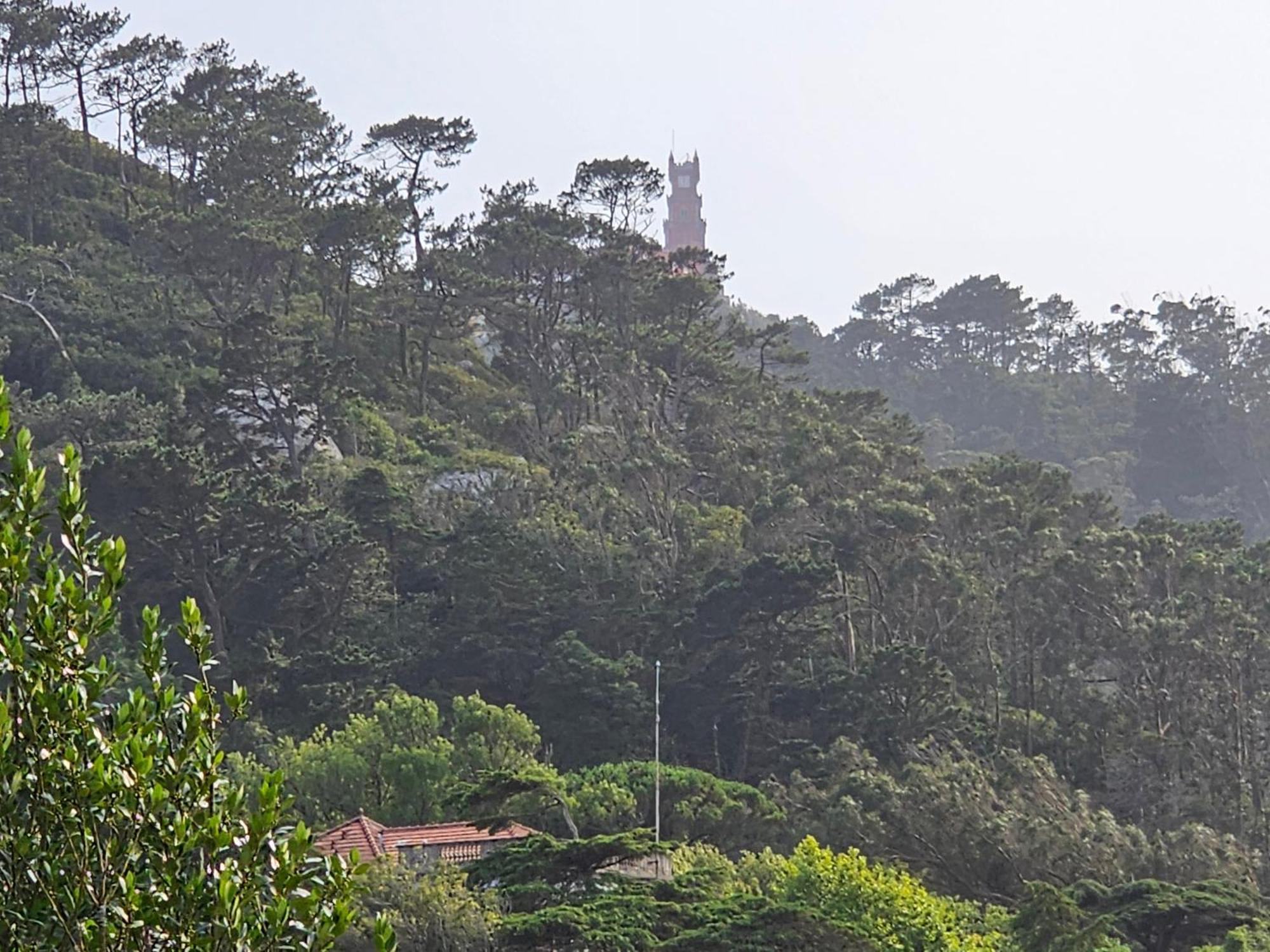 Sintra Chalet Dış mekan fotoğraf